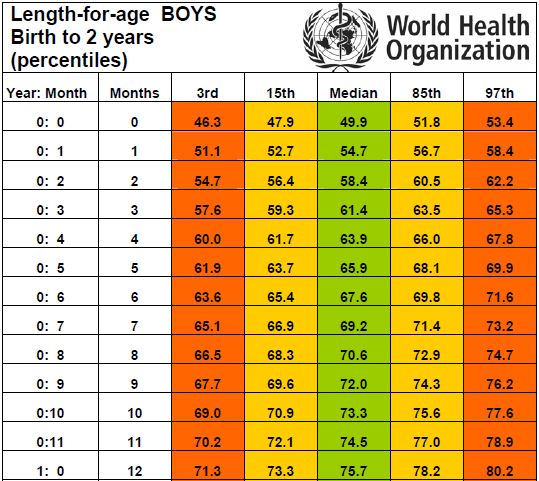Таблица роста ребёнка в 1-ый год жизни по месяцам по нормам ВОЗ для мальчика